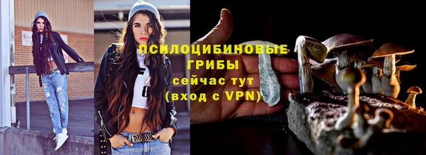 спиды Заволжск