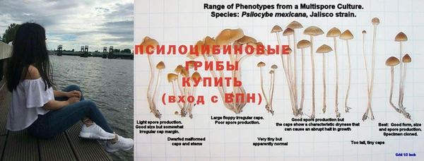 экстази Заволжье