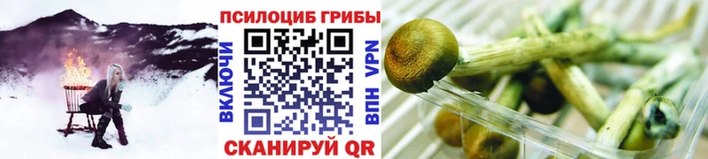 Псилоцибиновые грибы мухоморы  mega рабочий сайт  Приозерск 